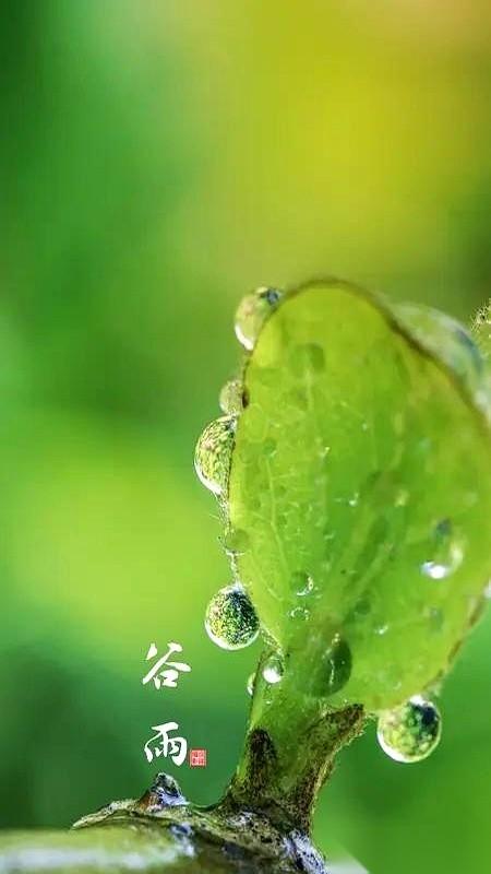 有句老话，今年听着后背有点发凉。还有8天，4月20号，上午9点38分。就这个