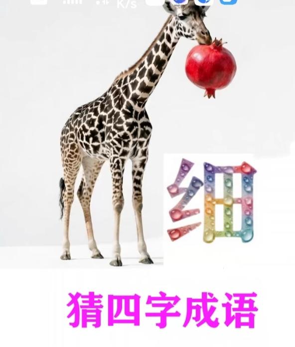 成语继续猜一下；图中画面太美了；长颈鹿把石榴叼；还有汉字细字展；谐音猜个