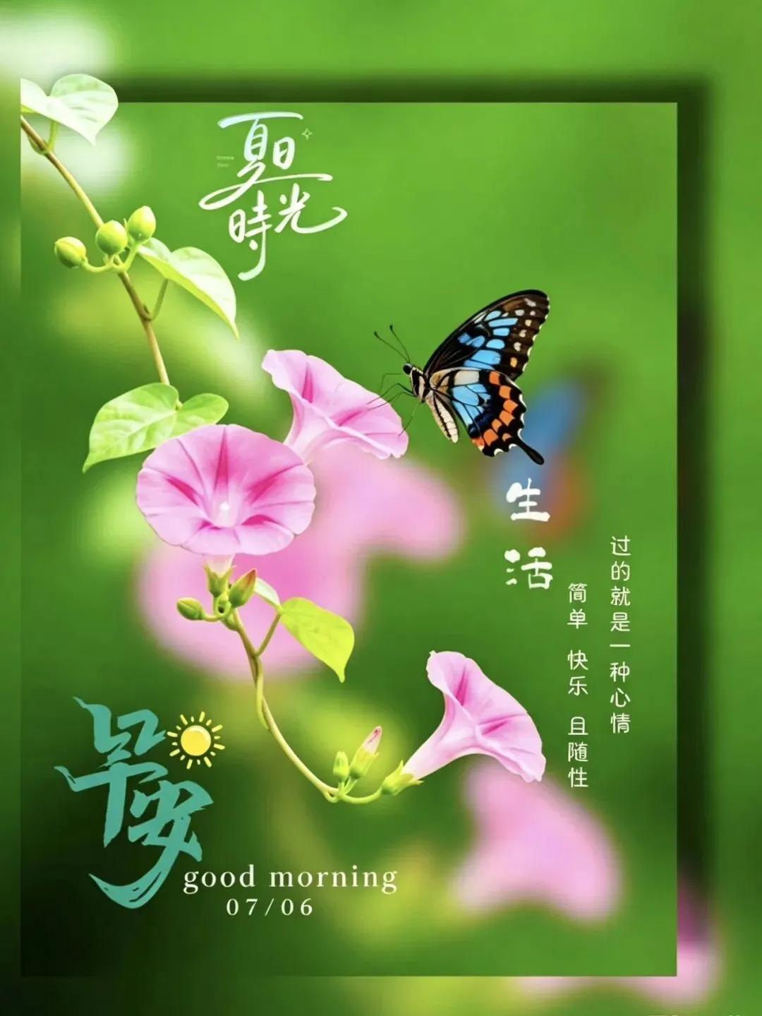 夏日时光，简单快乐，随性生活，早安好心情！🌞🌸🦋
