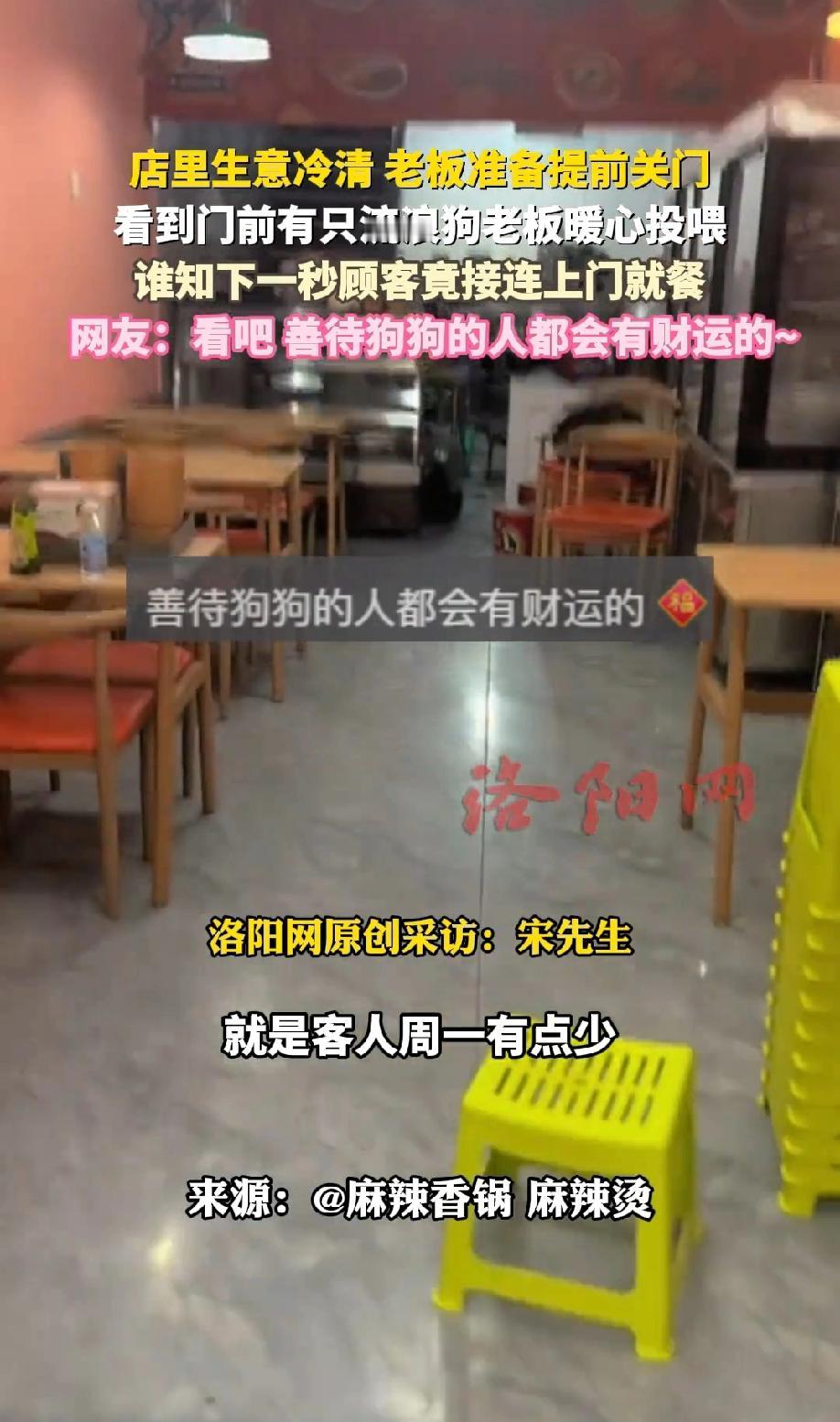 解释不清了！洛阳，一家麻辣烫店，生意冷清，老板准备提前关门。正当他准备离开时，突