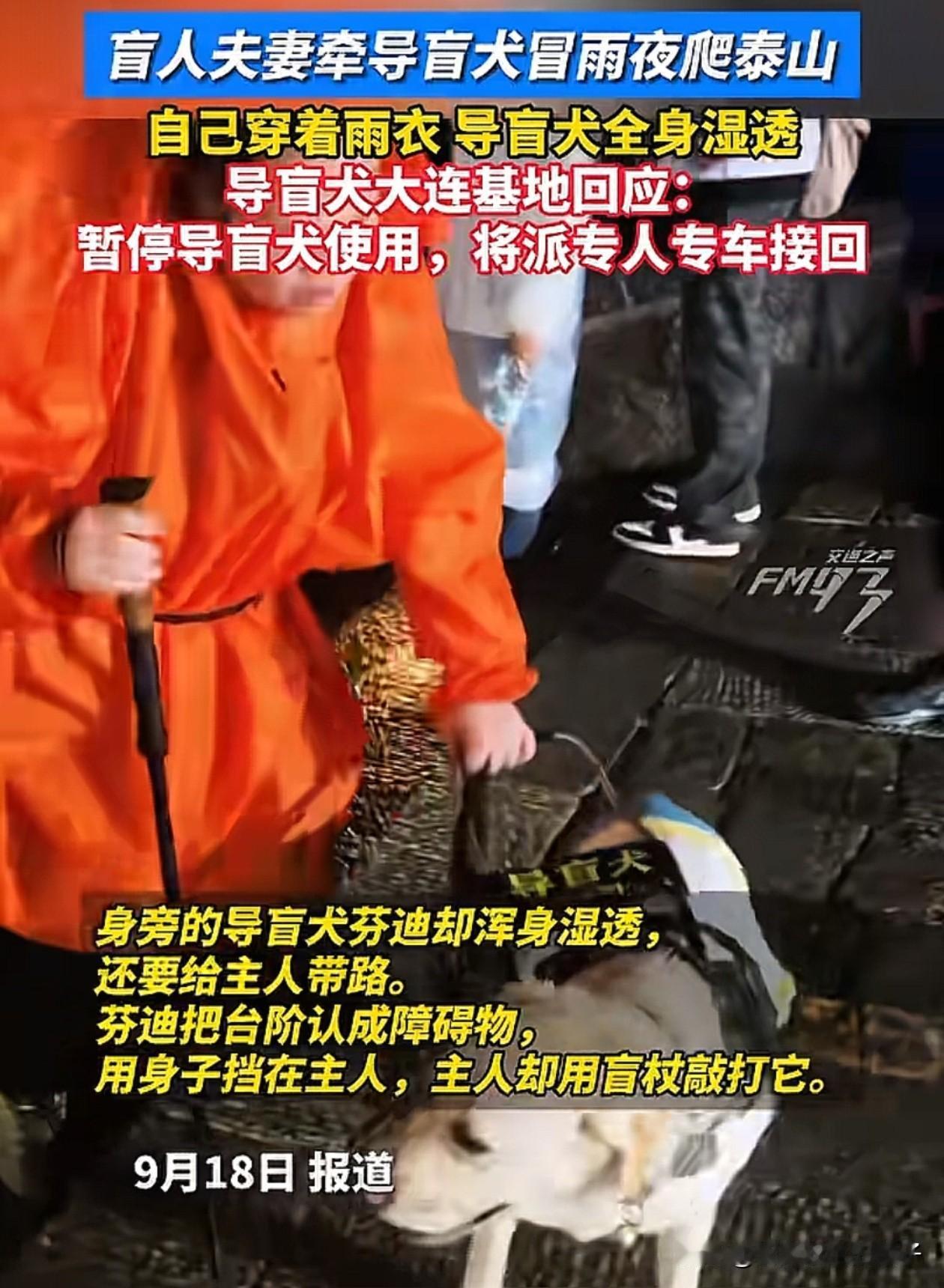 盲人夫妻被收回导盲犬其实一点也不冤有3个细节证明他们很自私第一、导盲犬“