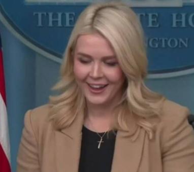 感觉白宫新闻发言人卡罗琳·莱维特，在听到欧洲出兵格陵兰岛的提问时，明显绷不住笑了