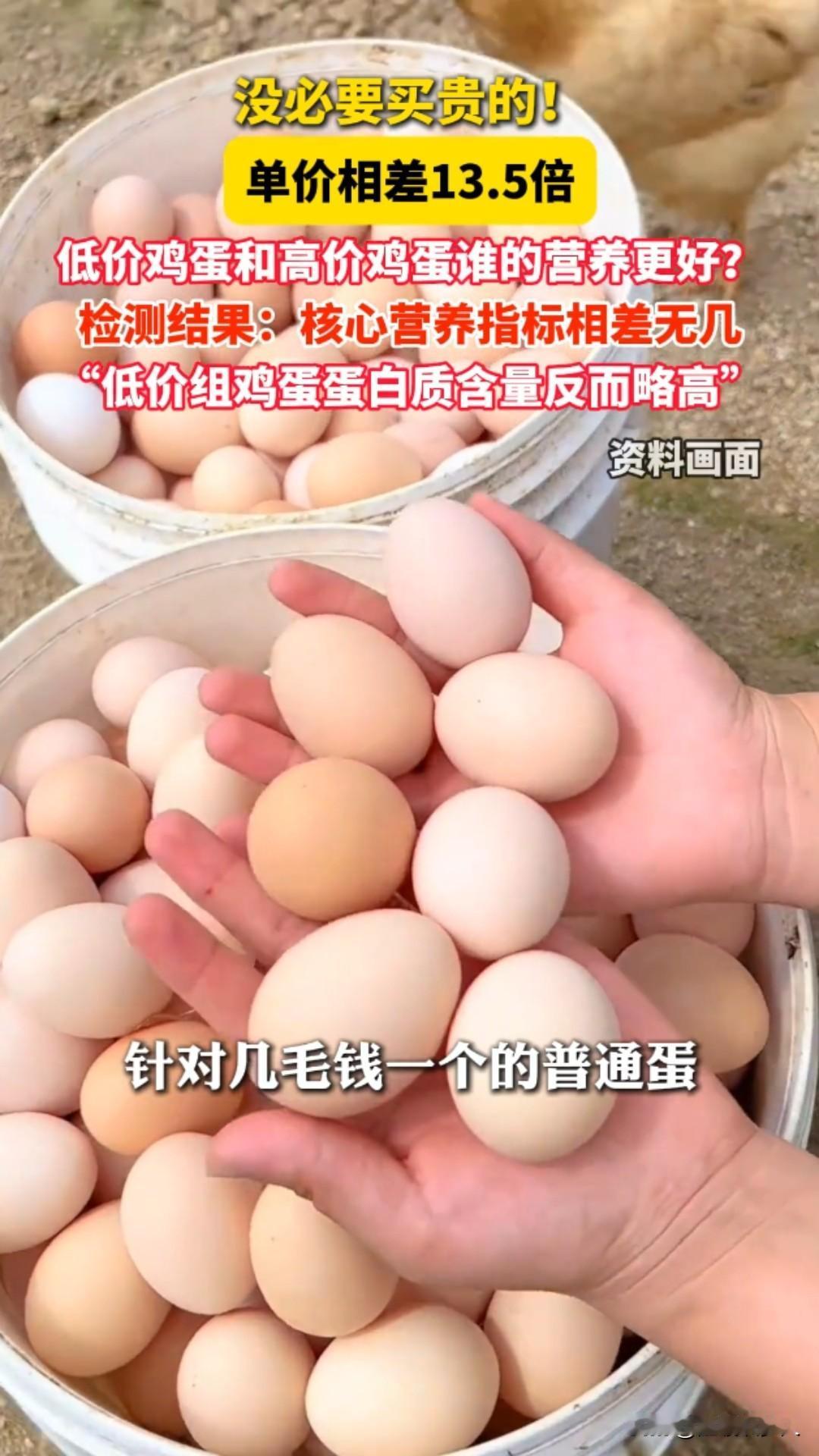 鸡蛋是每家每户都常见菜了，你去菜市场里挑鸡蛋，别让“高价”晃了眼！王大妈的精明账