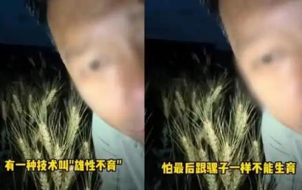 “吃了杂交水稻会不育”？200万粉丝网红一句话，把自己送进了看守所。一个在短视