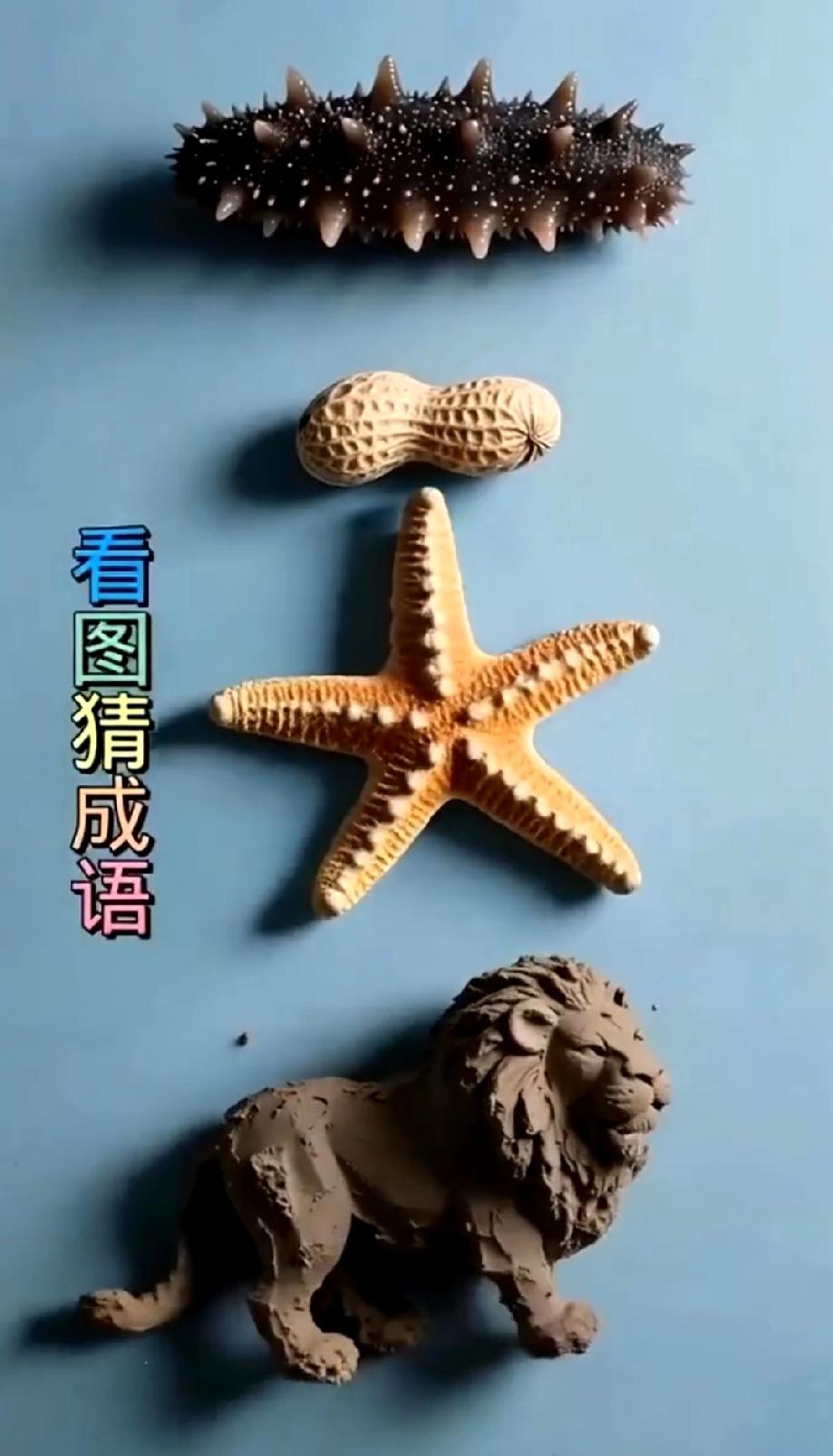 这组实物猜成语太绝了！海参花生海星狮子，90%的人第一眼都懵了，答案是啥？