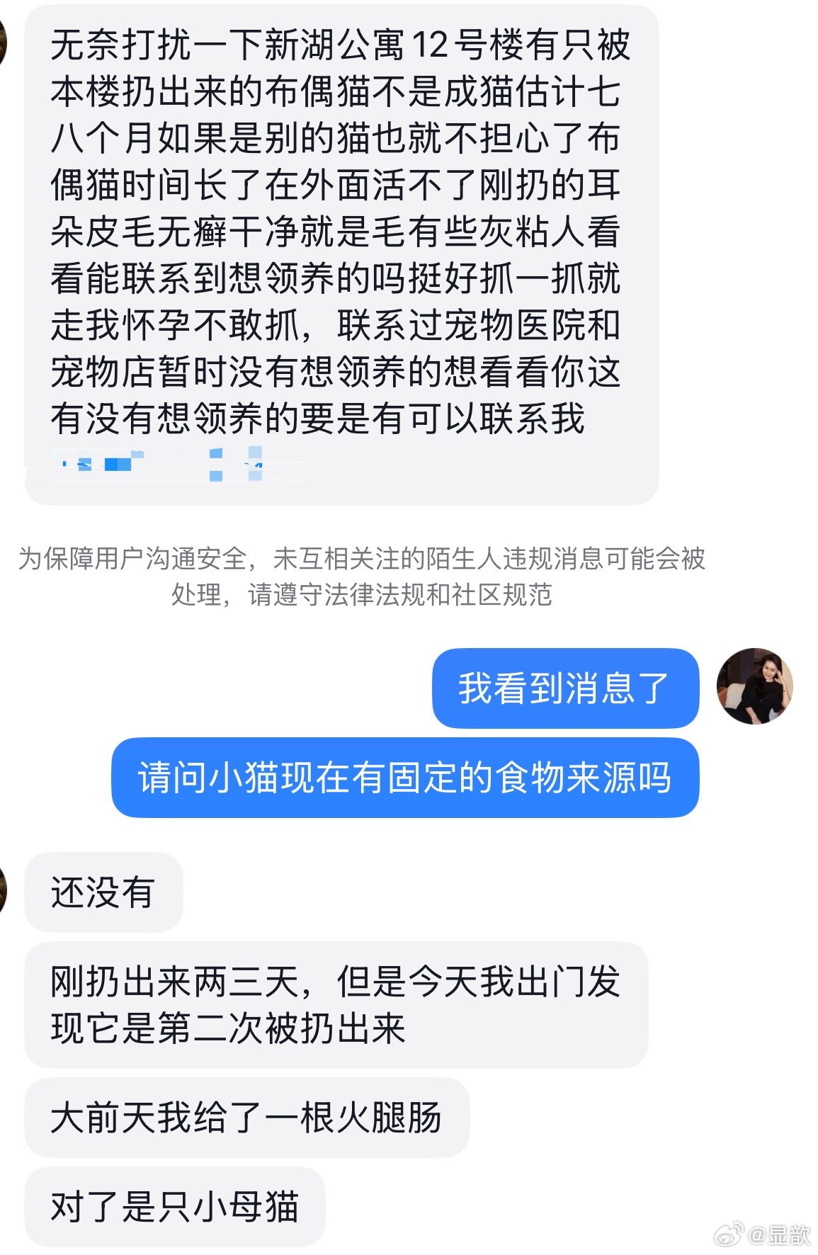 有没有人收养被遗弃的布偶猫呀？？？​​​
