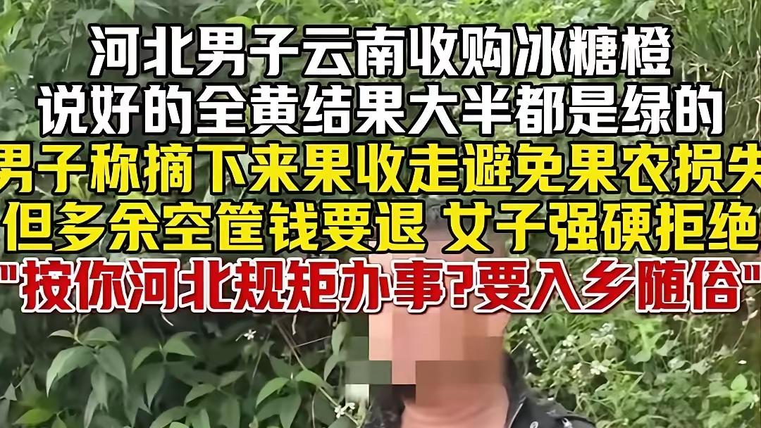 女子凭一己之力把果农干翻！云南，男子收购冰糖橙，和女子说好要全黄的，可第二天到果