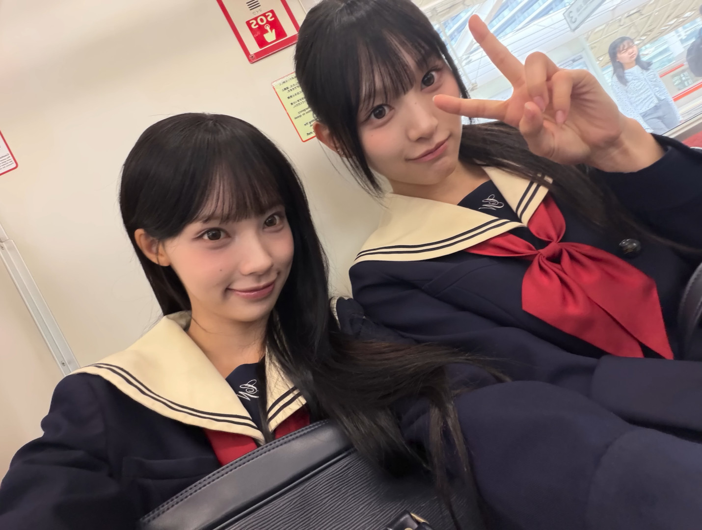 完全🦭宝宝​​​