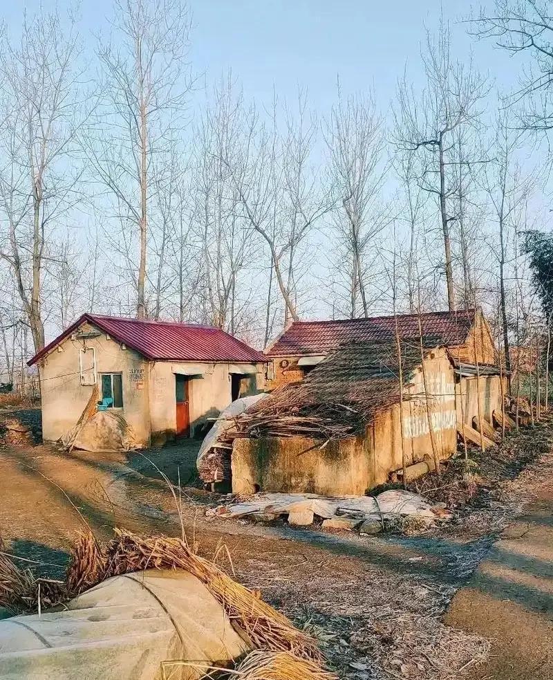 以前总觉得退休了要多热闹，现在才看明白，所谓晚年清福，其实就是“断舍离”单位一