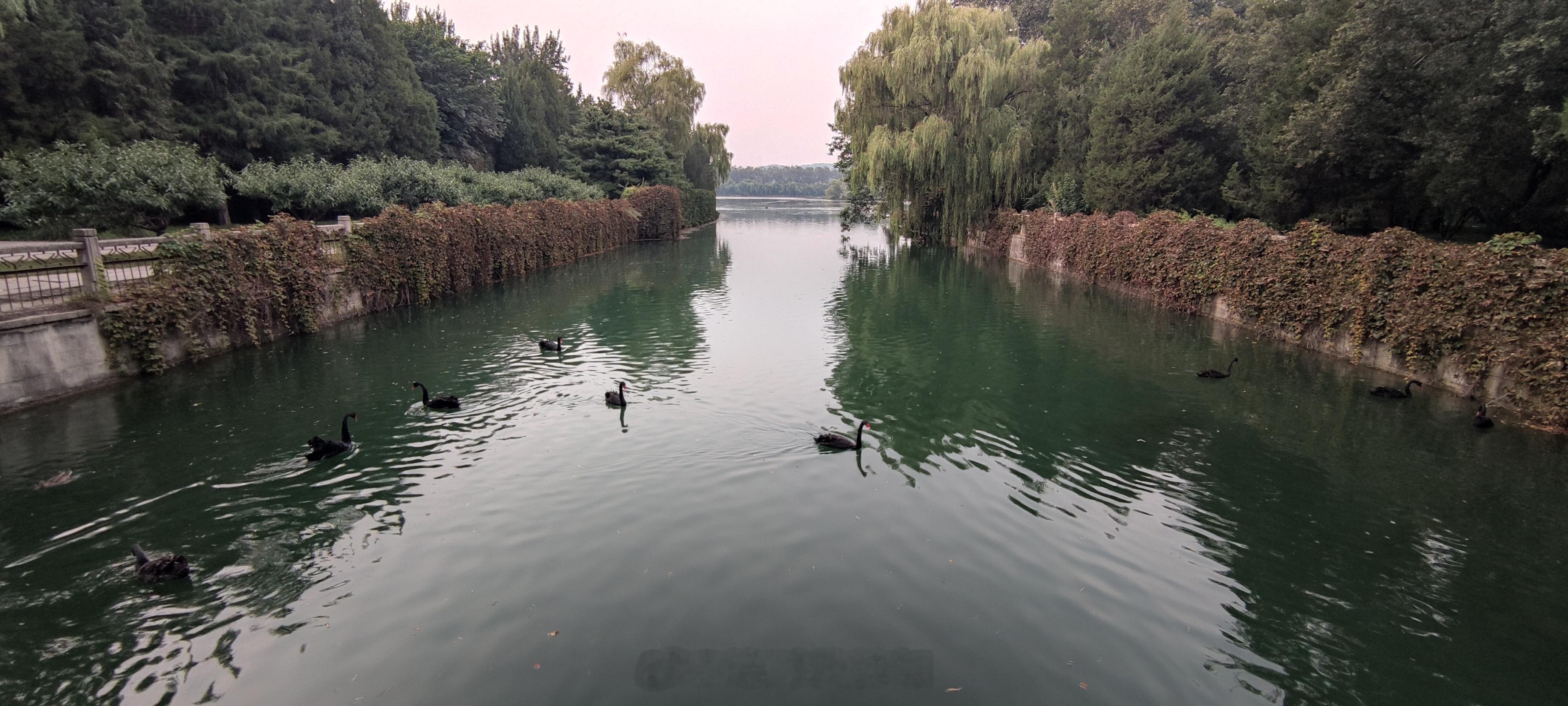 看入夜的颐和园颐和园北京旅游园林北京旅游​​​