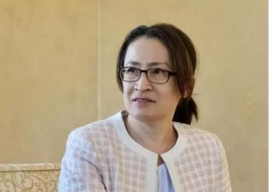 人还没到，标先撤了！萧美琴偷溜意大利小岛搞政治秀，欧盟委员会直接拒参，一个中国红