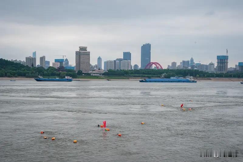 万里长江横渡：彰显的是城市气魄万里长江横渡：尽显城市气魄“才饮长沙水，又食武