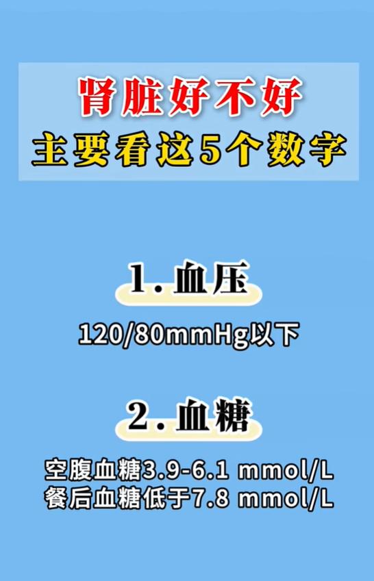 肾功能体检怎么看？5项核心数字，判断肾脏健康水平