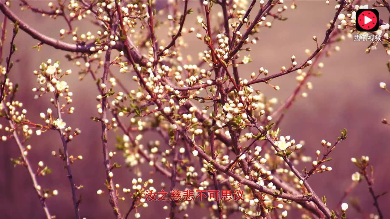 佛歌地藏堂曲谱