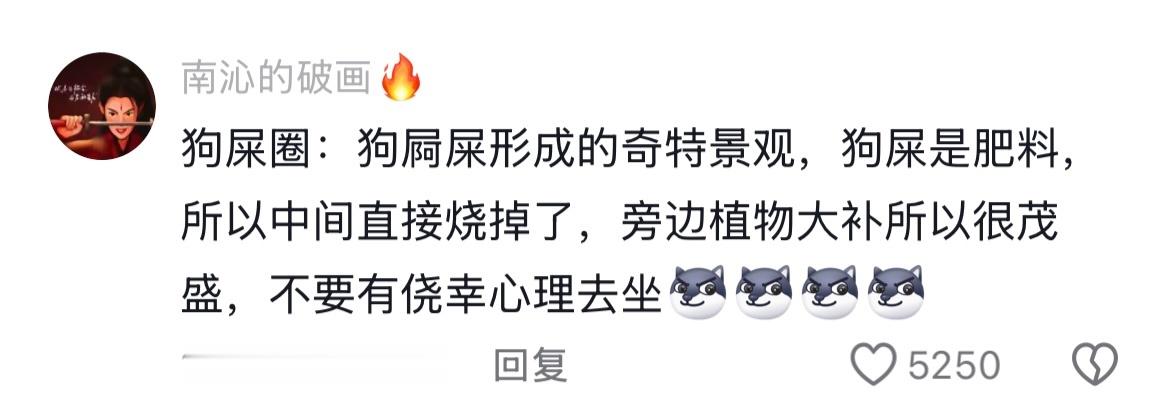 天塌了....原来草坪上的星星点点是小狗的痕迹