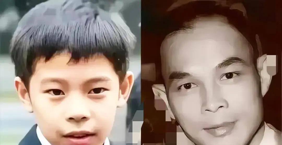 别再只逼孩子刷题了。看看香港的霍家怎么养11岁的继承人。上千人的官方场合，霍