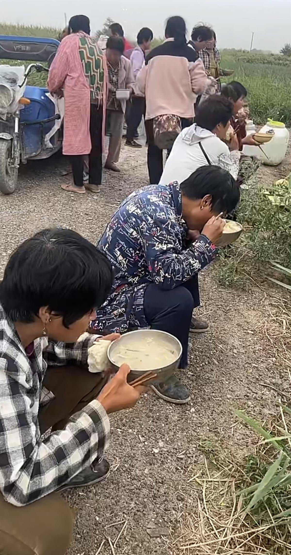 地头就当是餐厅，布墩当作餐椅凳。一碗咸粥也当菜，…………………………请你