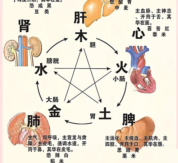 中医五行治病原理，搞懂你就是半个中医！中医调理不是“头痛医头”，而是顺着五行