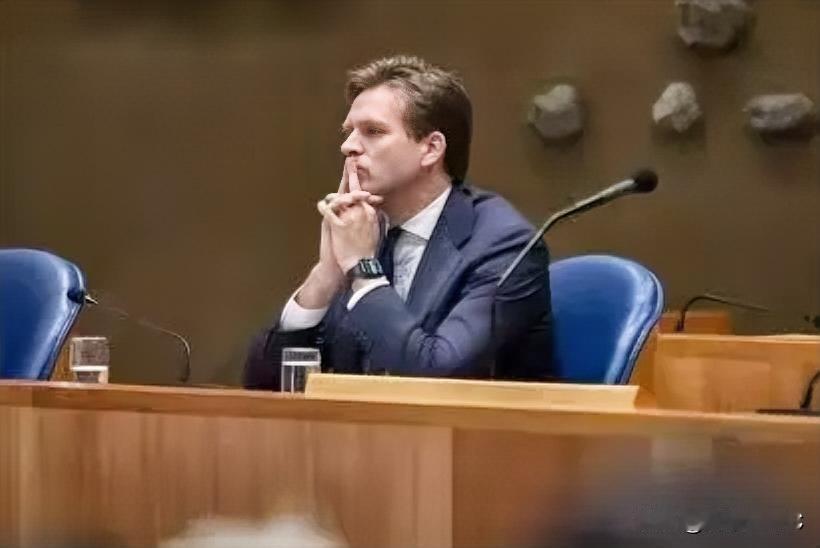 荷兰大臣：没想到中方真的叫停芯片出口。这次中国真的不惯荷兰了，荷兰没事就挑起事