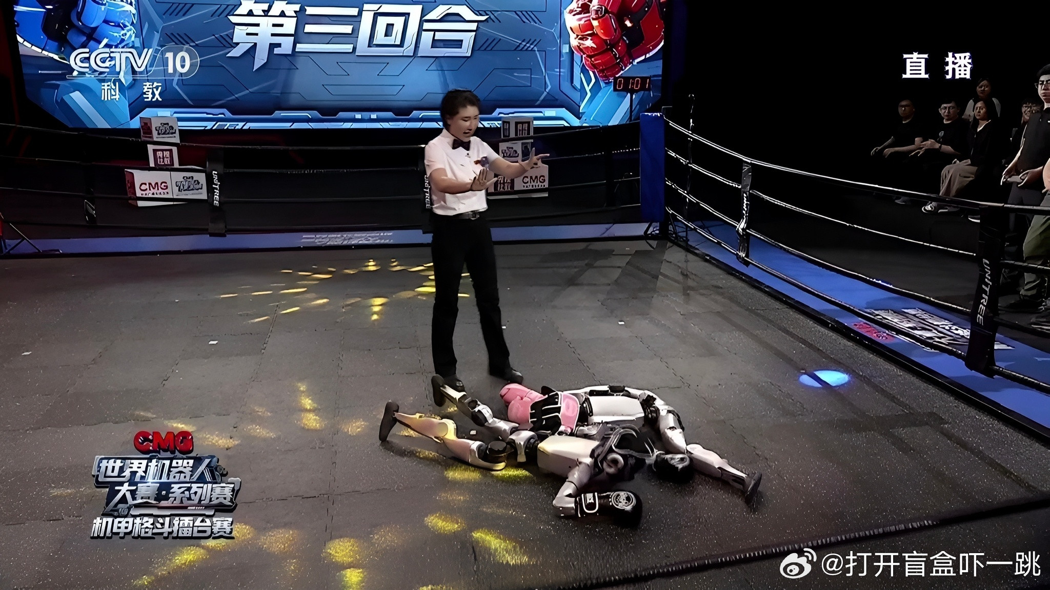 CCTV-10非常罕见地搞了场直播，机器人格斗擂台赛，就是比谁能把谁干趴下，非常