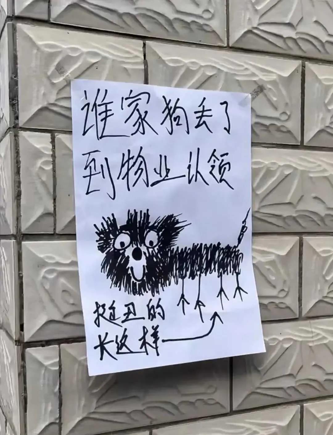看完前：不会画不要乱画看完后：确实挺丑的