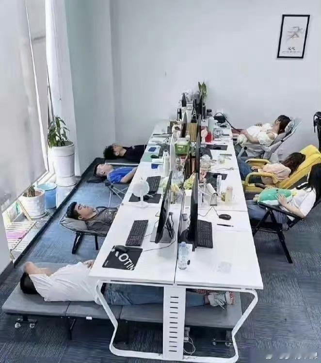 某公司午休照意外泄露，引发尴尬。​​​