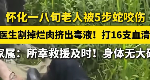 湖南怀化，80岁老人上山采药，被五步蛇咬伤，医生割掉了烂肉，又挤出毒液，最后打了