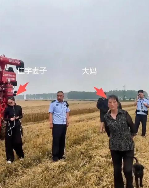 襄阳麦收的“割四赔五”事件，真的越看越气，越想越寒心！2026年5月下旬，湖北