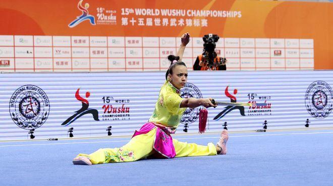 我们以后别再费劲的去申报什么奥运会、亚运会了！国际奥委会连个武术进奥运都不同意，