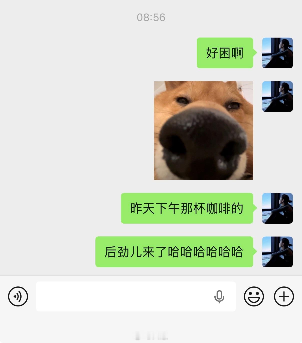 老了一杯咖啡搞得我不玩儿手机躺床上翻来覆去……3点睡5点起