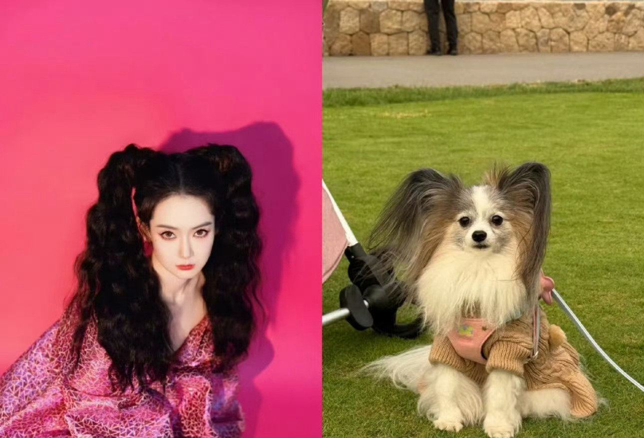 万物皆戚薇！李承铉遛狗偶遇小狗神态撞脸戚薇，自带老婆滤镜是什么体验#李承铉偶遇的狗都像戚薇#​
