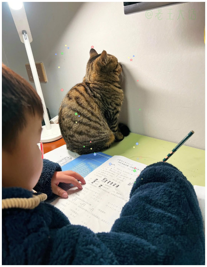 小猫咪辅导作业也会头疼