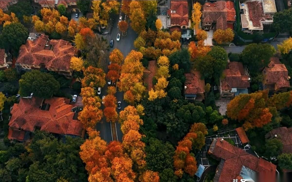 十几年的老房子了，秒杀现在一堆所谓的豪宅。真的，很多人不懂，以为新就是好，贵就