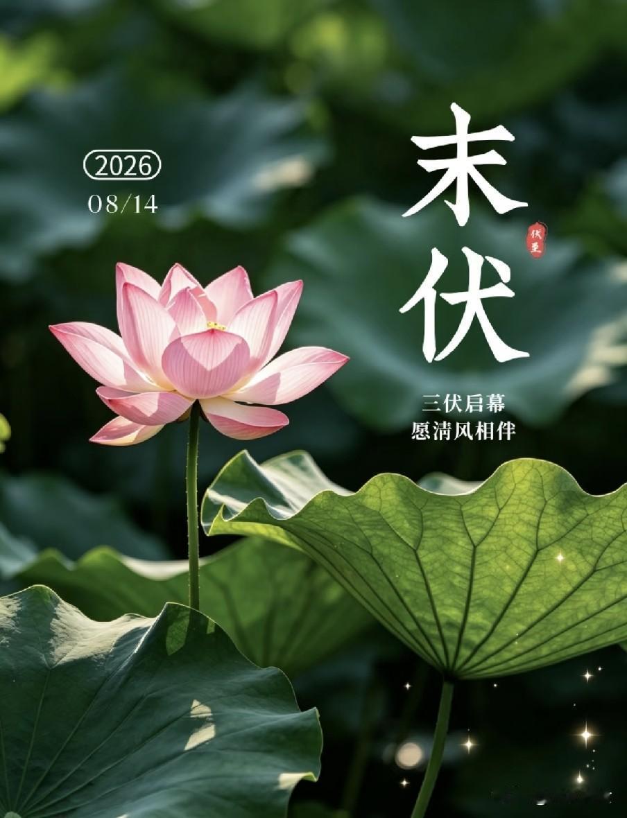 "冷不冷，就看末伏"，明日末伏，今年冬天冷到哭吗？“伏尽秋生时序迁，古谣观