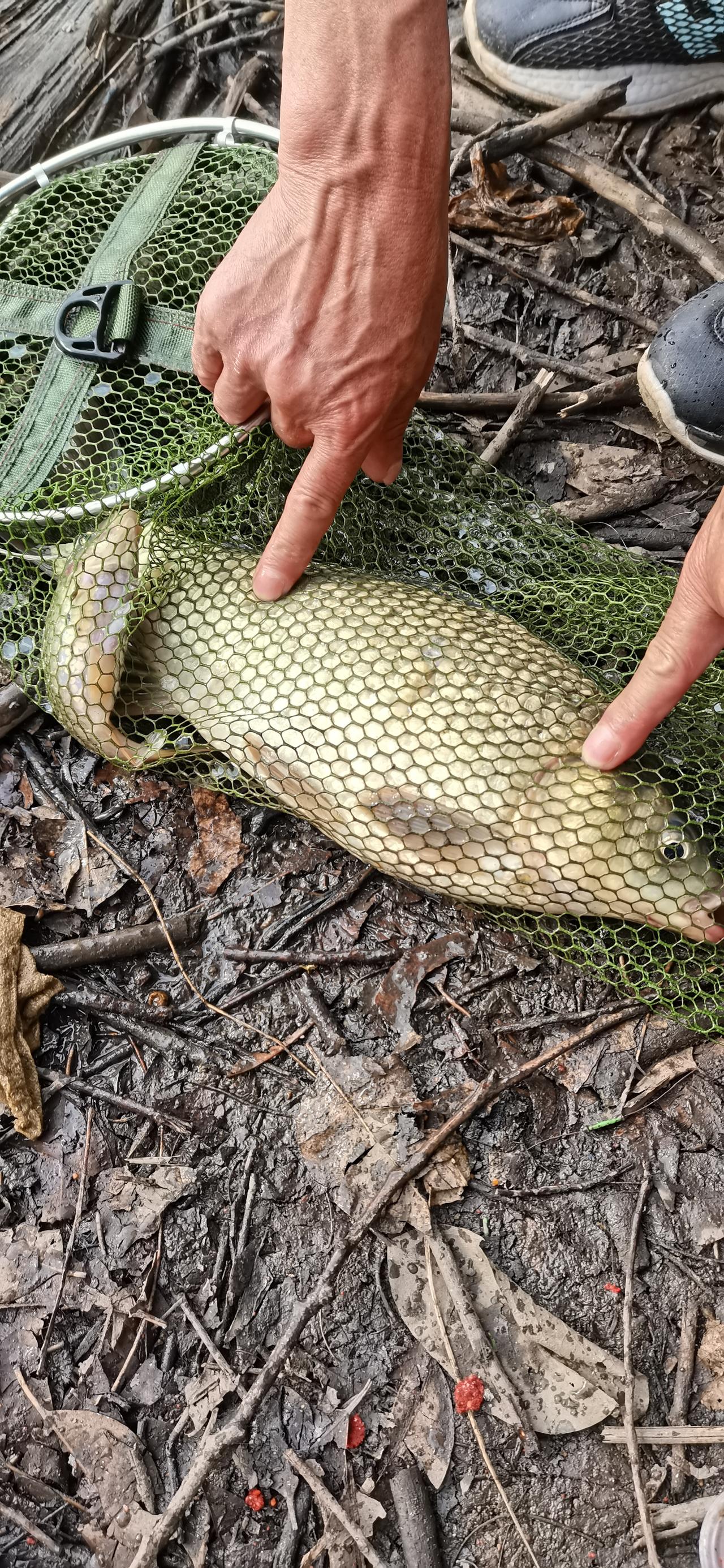 散户在股市中亏钱的真正原因简单来说就是太贪心，不止赢止损！自媒体上的炒股方法和