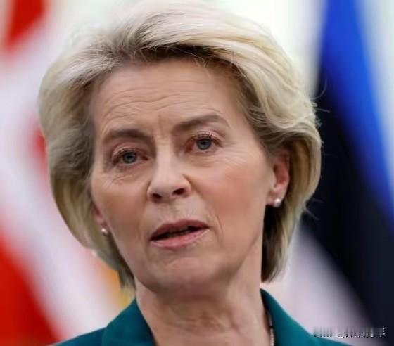 欧洲能源格局这场翻身仗，打得确实漂亮，但要说从此高枕无忧，恐怕还为时过早。表面上