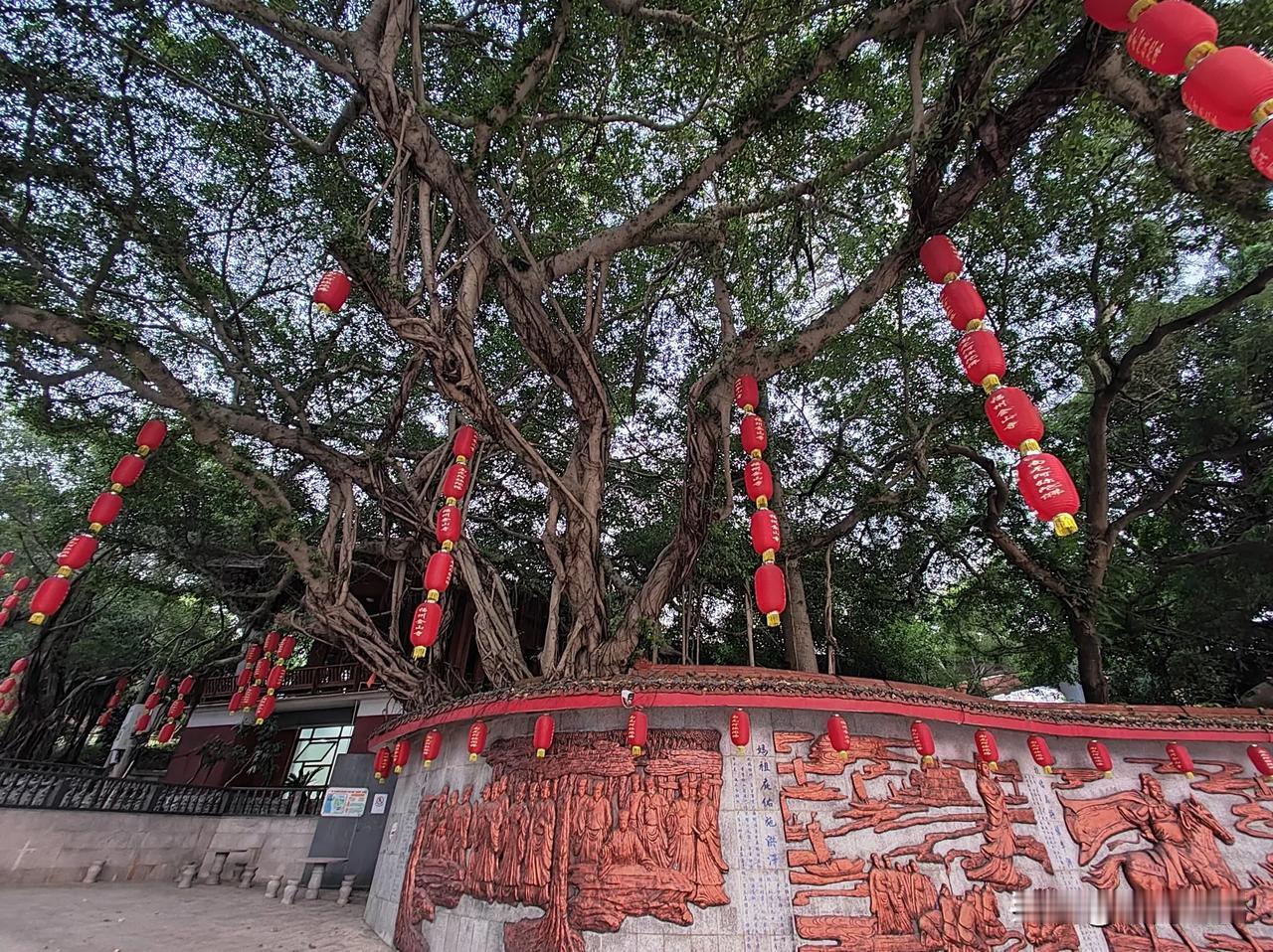 你发现没？现在的父母，比我们还会“反向撒娇”。我爸前阵子说手机卡，我要给他