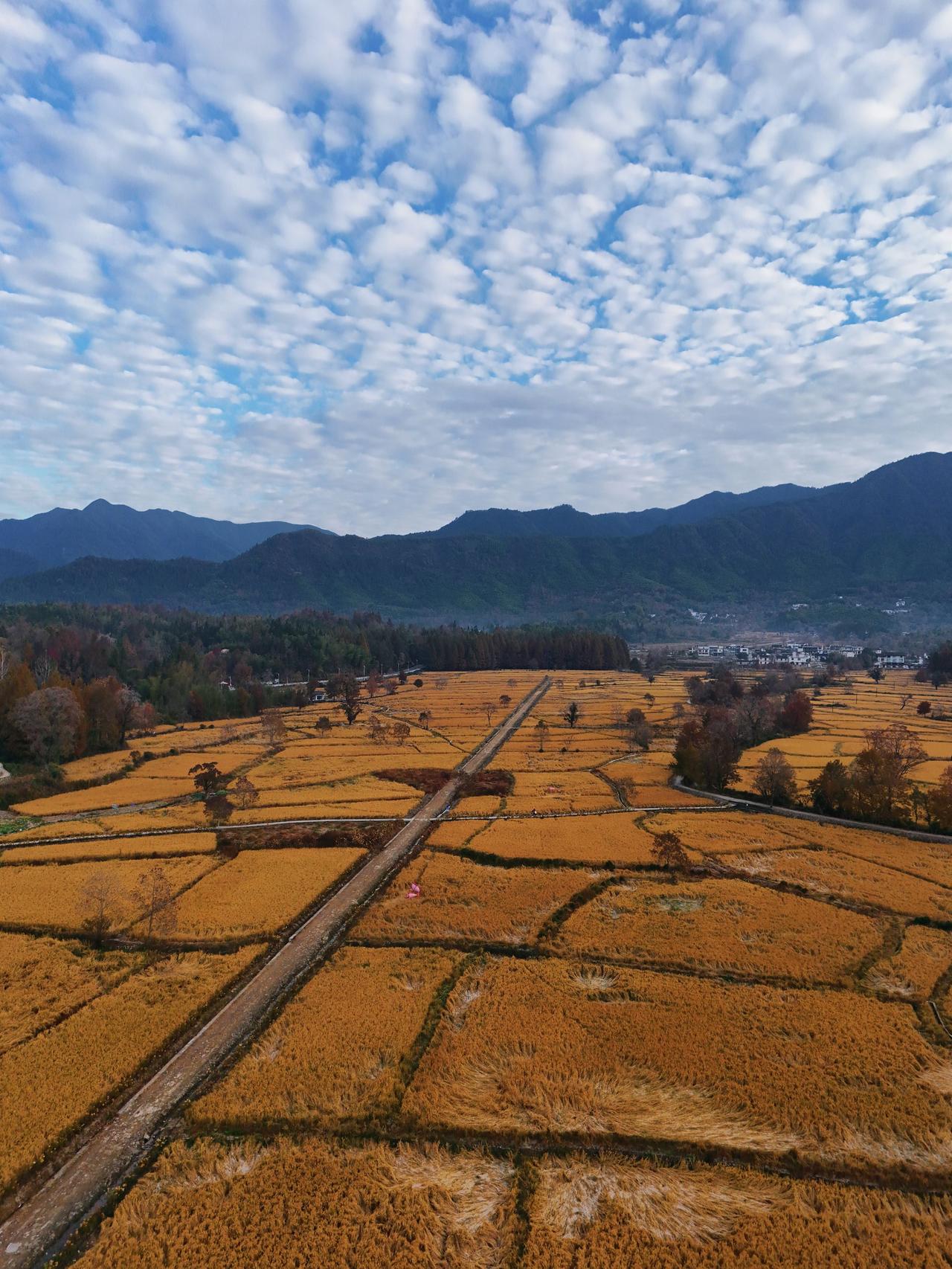 接待了一位南师附中的孩子家长，孩子其实也不弱，但是在南师附中这样的环境当中相对来
