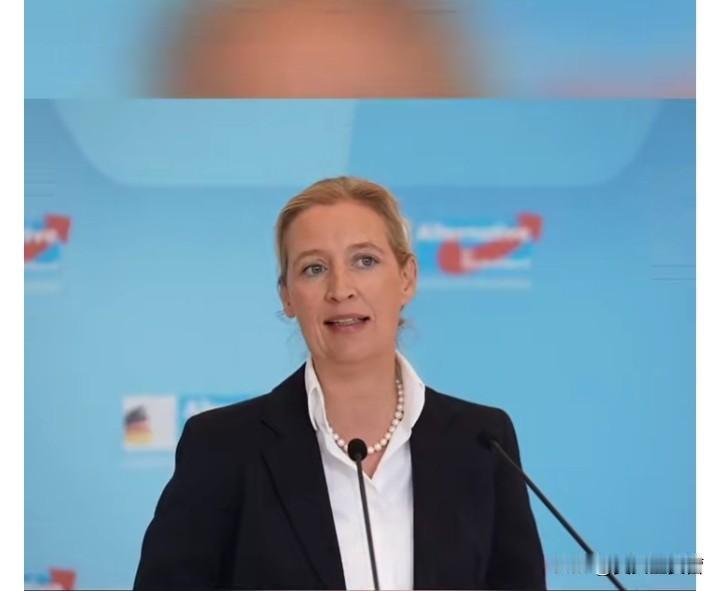彻底决裂了！德国选择党联合主席魏德尔表示，德国总理默茨执迷不悟援助乌克兰千亿欧