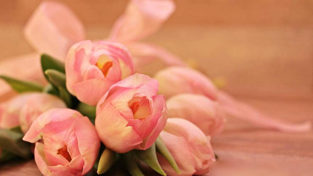 1月11日，星期日，子鼠，即将有事发生。子鼠。无论是个人目标、坦诚相待的决定，还