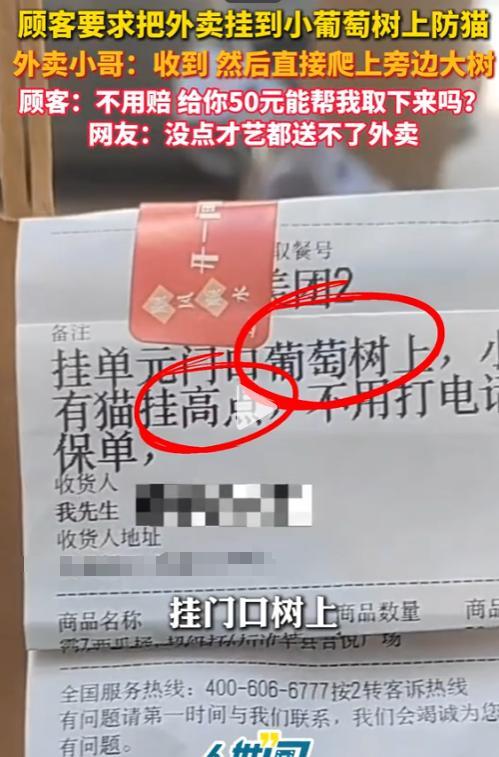 “外卖小哥下来天塌了！”5月28日，江苏，一顾客要求把外卖挂在葡萄树上防猫，结果