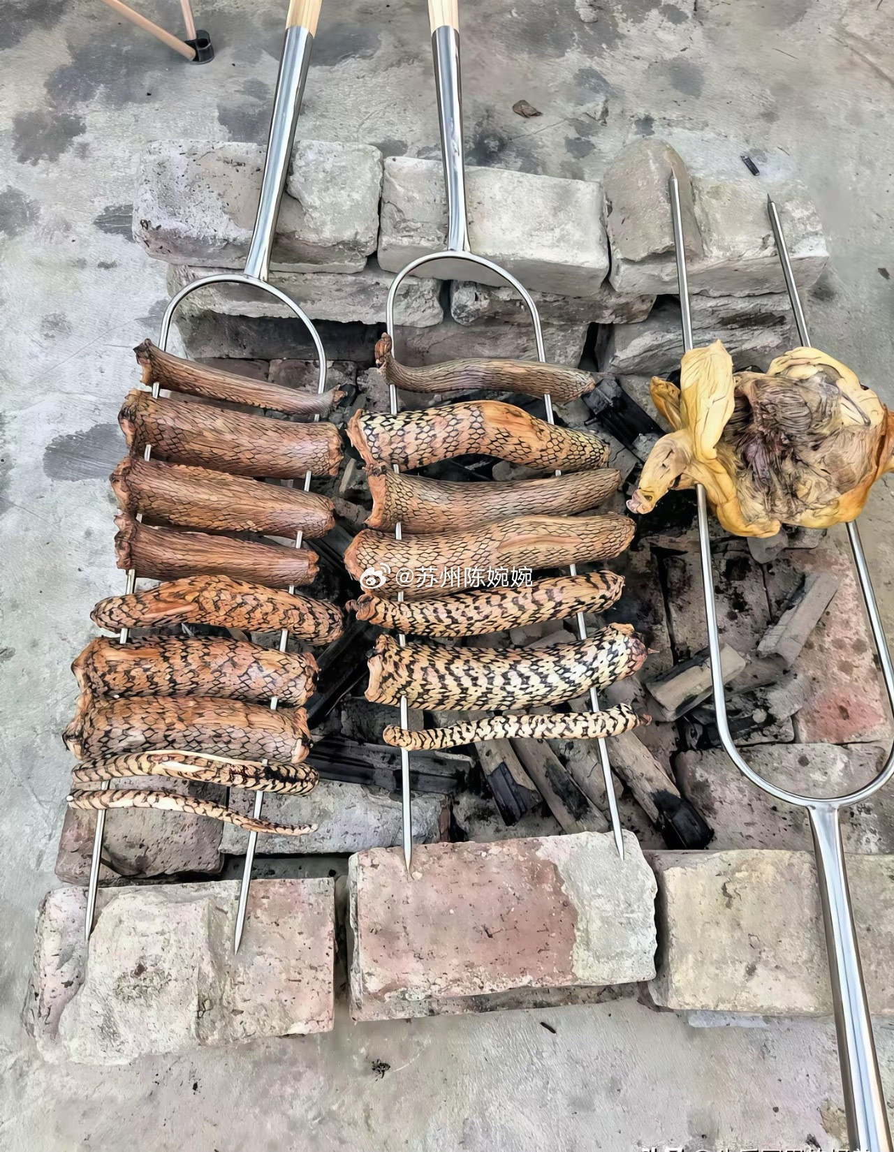 谁能看出来这烤的是什么？奖励两包辣条