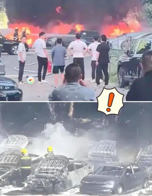 大连这事儿闹得，真让人不知道该说什么好。5月30号那天，甘井子区一位74岁的大爷