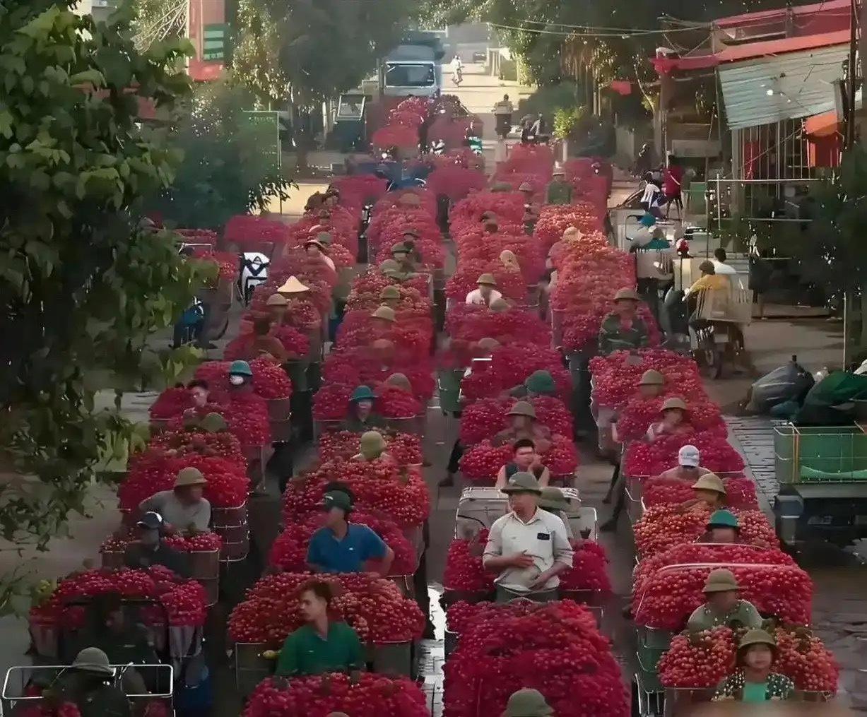 马上就要烂大街了，为什么还不肯降价呢