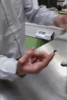 正常喵吃药VS橘猫吃药