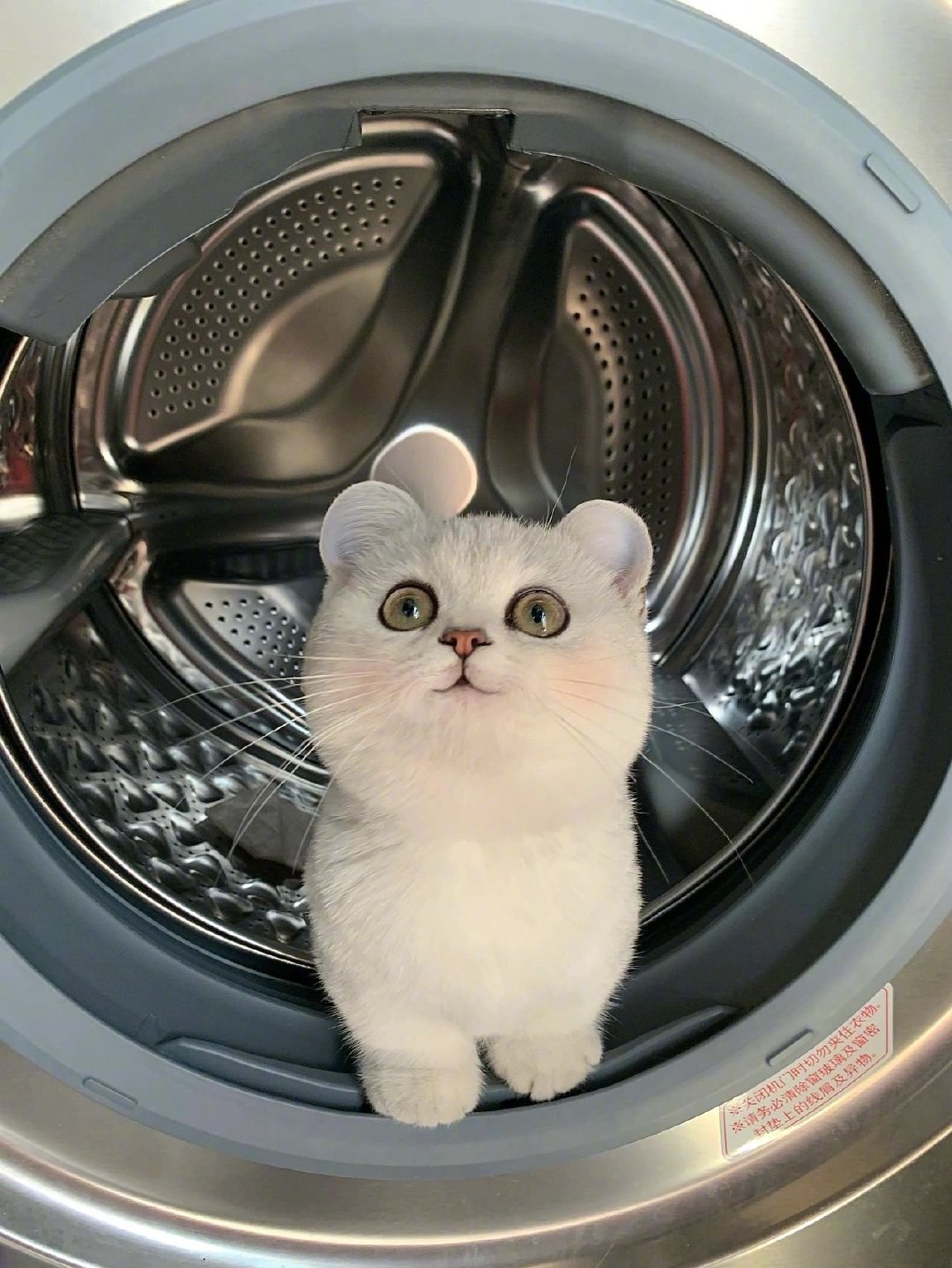迪斯尼的米老猫，你好啊~