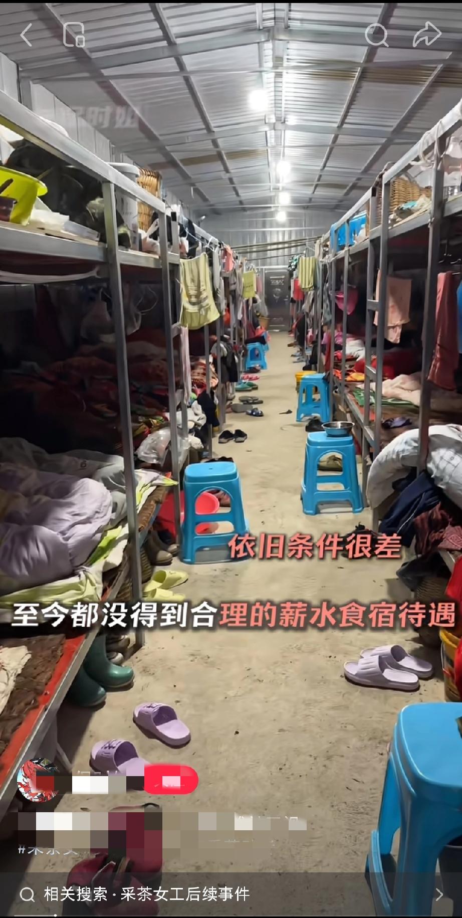 很难想象，2026年的采茶女还是这样的工作环境。喝黑水，吃白水面条，住集装箱