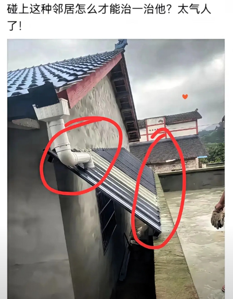 邻居，这过分了吧