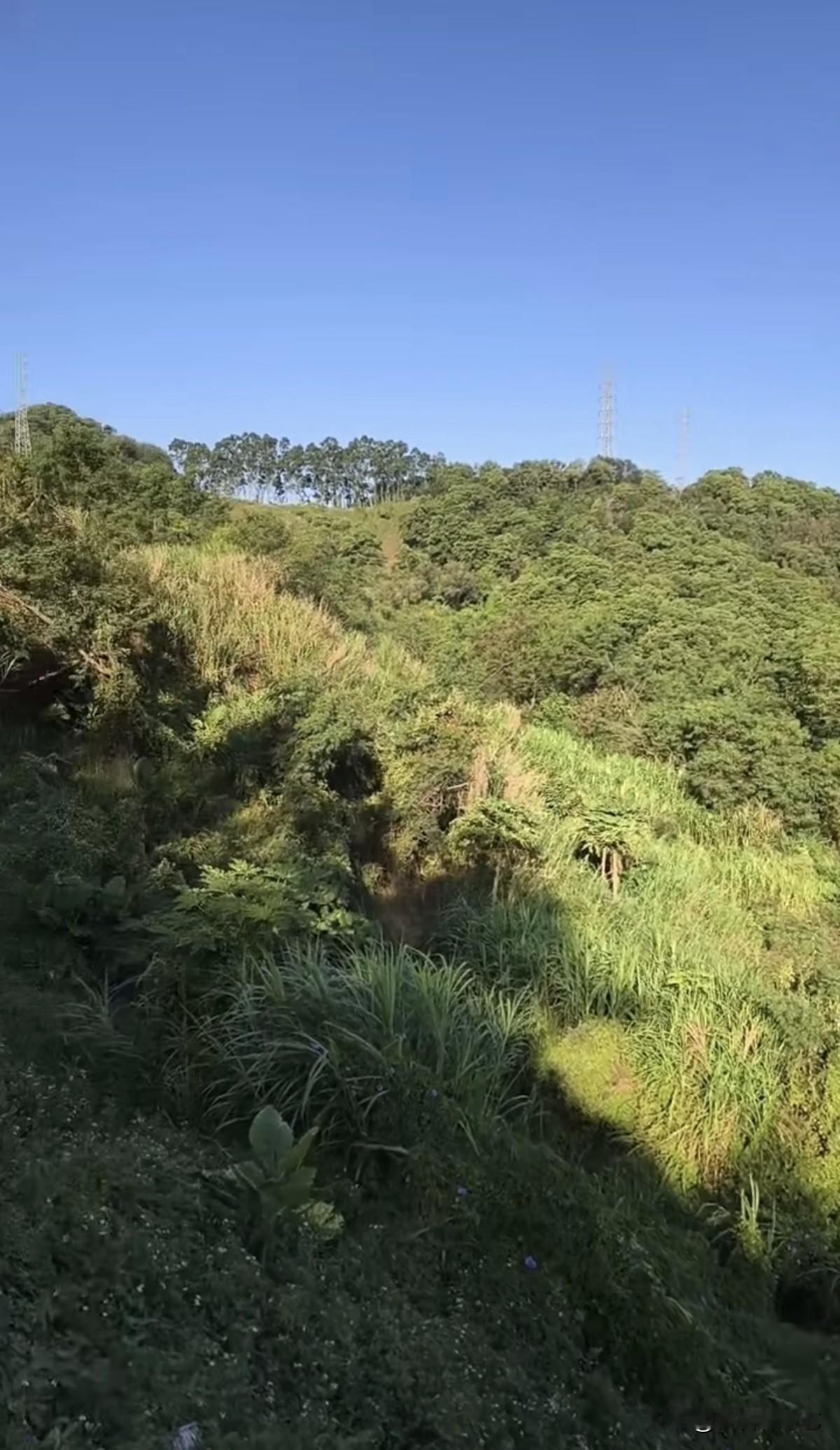 分享城市新鲜事蓝天把整座山衬得格外清亮，坡上的草木裹着深浅不一的绿，间杂着几缕泛