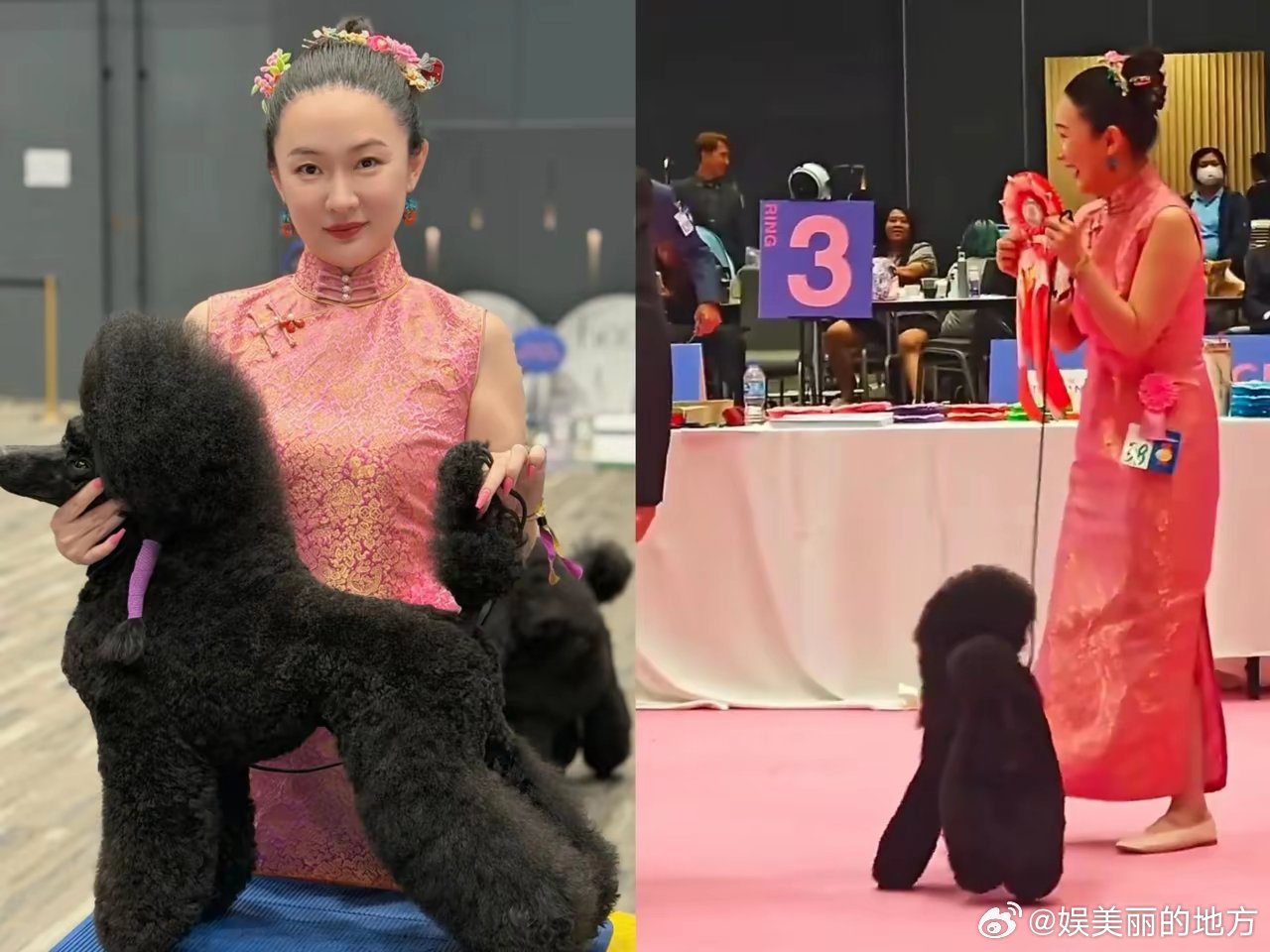 霍思燕退圈可不可惜，我不评价，但有一点我可以肯定的就是，霍思燕现在的状态比当年在